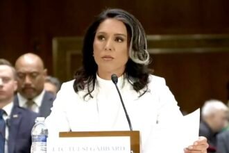 DIABOLICAL: Tulsi Gabbard Declassifies Documents Which Reveal the Biden Regime Declared Patriotic COVID-19 Mandate Opponents “Domestic Violent Extremists” |