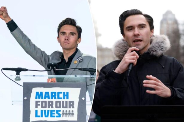 DNC panel votes to void David Hogg’s election to Democratic vice chair 