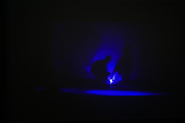 David Hammons Gets at the Why? of It