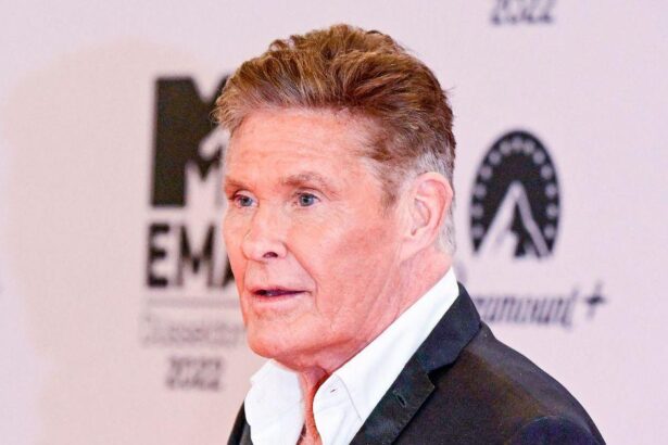 David Hasselhoff Now Wheelchair-Bound After ex-Wife’s Shock Suidcide