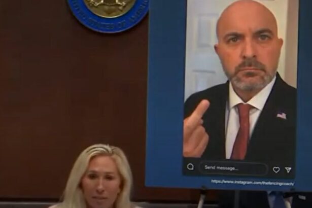 Democrats Make Marjorie Taylor Greene’s Anti-Trans Hearing Totally Backfire