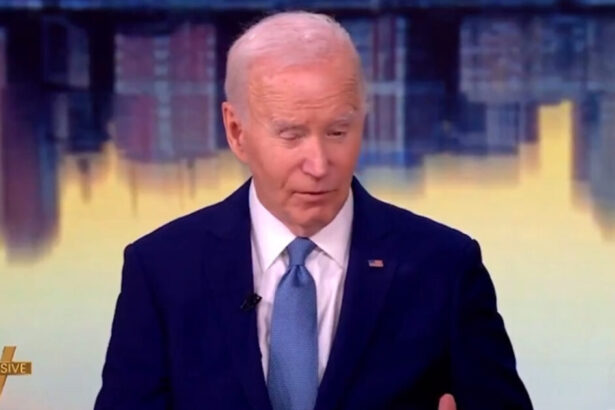 Democrats Privately Furious That Joe Biden Won’t Just Leave the National Stage |