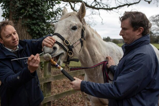 Did Horses Trigger The 1918 Flu Pandemic?