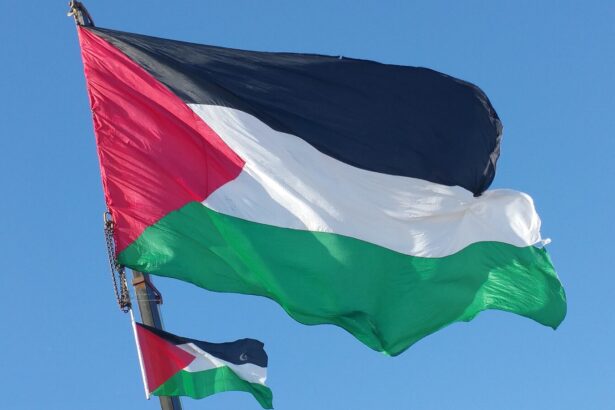 ‘Disgusting’: State Capital to Fly Palestinian Flag Over City Hall |