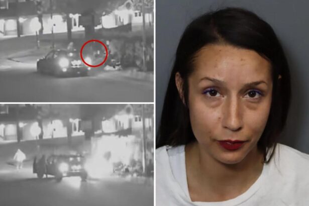 Disturbing video shows sicko set homeless woman on fire