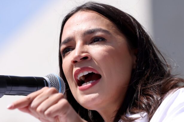‘Do I Look Like I Care?’: AOC Shreds Trump’s Border Czar In Blunt Free Speech Reminder