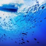 Do We Really Know Less about the Deep Sea Than the Moon or Mars?