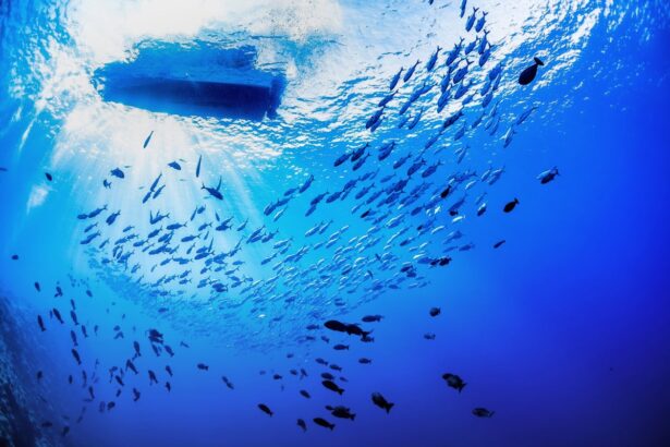 Do We Really Know Less about the Deep Sea Than the Moon or Mars?