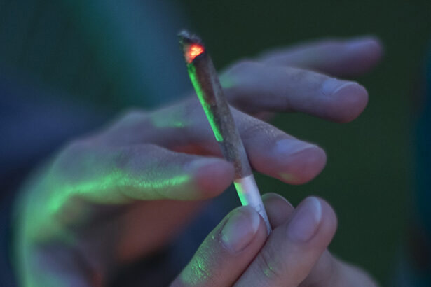 Does Cannabis Lower Sperm Quality? New Study Reveals a Surprise Result : ScienceAlert