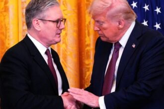 Donald Trump to announce trade deal with UK