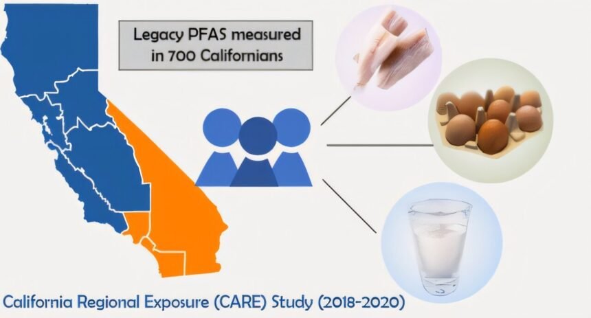 Drinking water and select foods linked to PFAS exposure in California adults