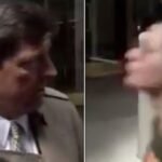 Dropped Trump Nominee Spat At During Live TV Interview