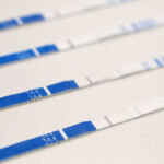 Drug overdose deaths dropped 27% in 2024, CDC reports| STAT