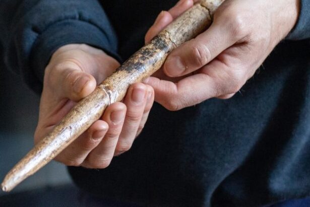 Earliest Known Whale Bone Tools Discovered in Europe’s Museum Collections : ScienceAlert