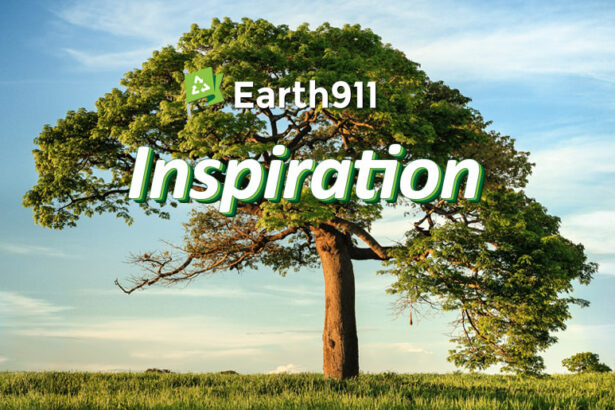 Earth911 Inspiration: Change At The Speed Of Trust