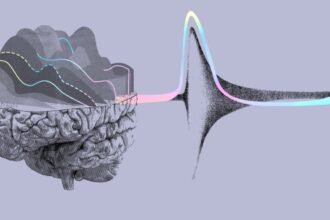 Elon Musk’s Neuralink raises 0M at B valuation