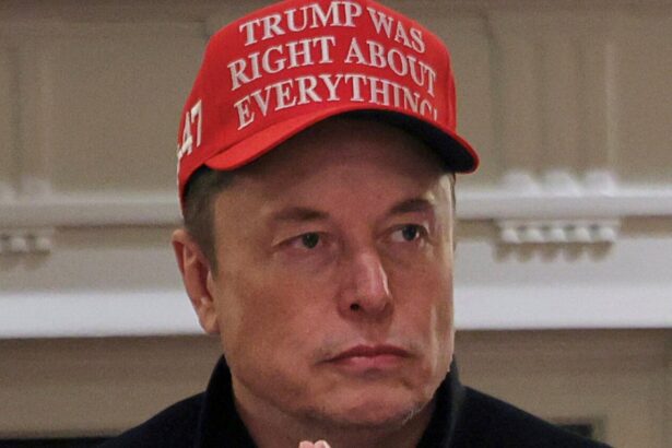 Elon Musk’s Tesla Sales Utterly Collapse In Europe, Even As EV Market Surges