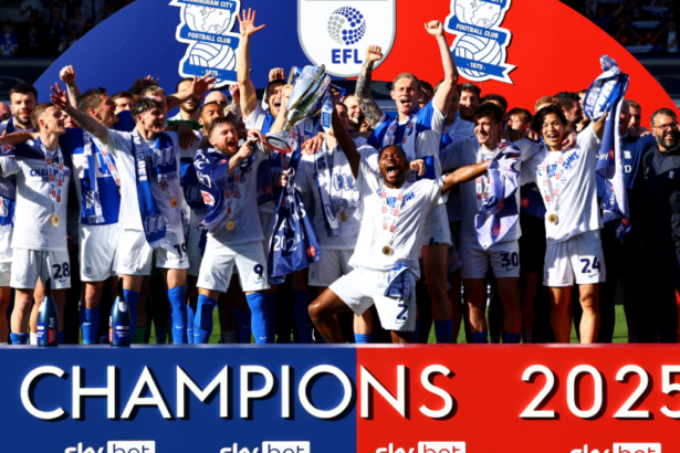 English Football League: Who has been promoted in the Championship, League One and League Two?