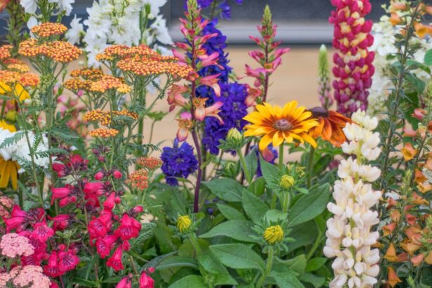 Everything you need to know about chaos gardening