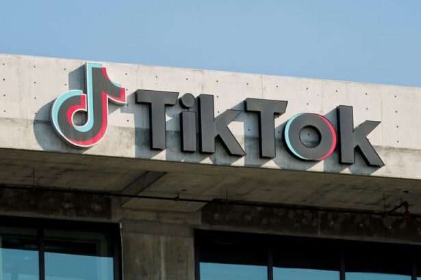 Exclusive-TikTok plans to build 1 billion euro data centre in Finland, spokesman confirms