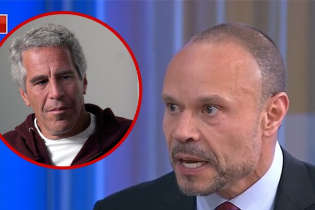 FBI Deputy Director Says Epstein Jail Video Shows He Was Not Murdered