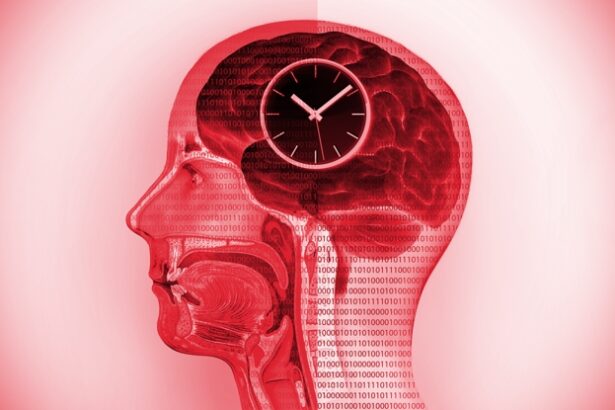 Fasting-Style Diet Seems to Result in Dynamic Changes in Human Brains : ScienceAlert
