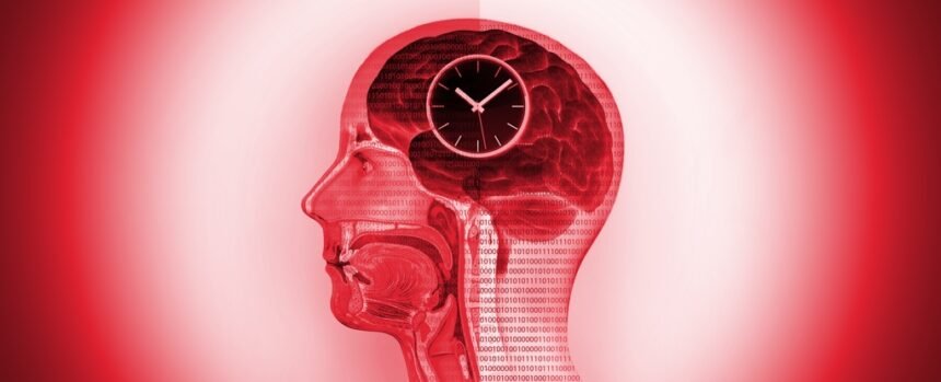 Fasting-Style Diet Seems to Result in Dynamic Changes in Human Brains : ScienceAlert