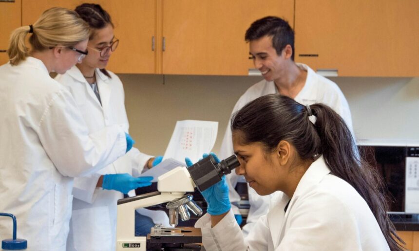 Federal Science Advisory Committees Are Being Defunded and Dismantled. Here’s a Toolkit to Help Independent Scientists Step Up