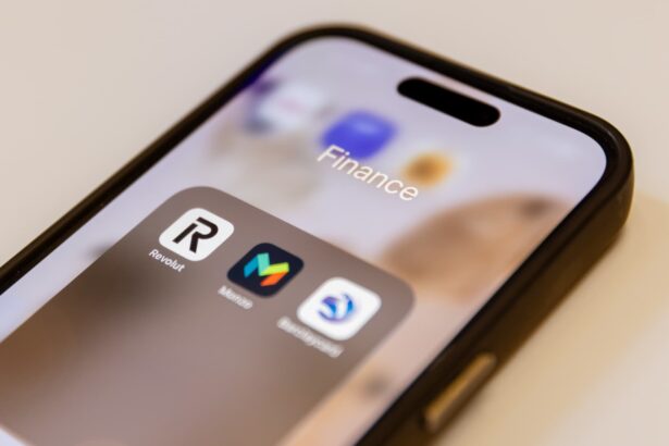 Fintechs that made profits from high interest rates now face key test