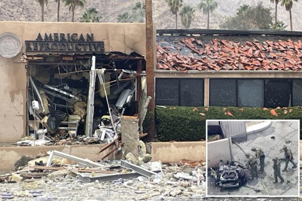 Firefighter and FBI agent risked their lives to save embryos in Palm Springs IVF clinic bombing
