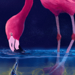 Flamingos conjure ‘water tornadoes’ to trap their prey