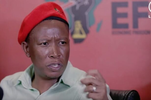 Flashback: South African EFF Leader Julius Malema Admits Trump Is Right – We’re Coming After White Farmers (VIDEO) |