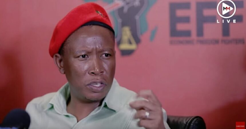 Flashback: South African EFF Leader Julius Malema Admits Trump Is Right – We’re Coming After White Farmers (VIDEO) |
