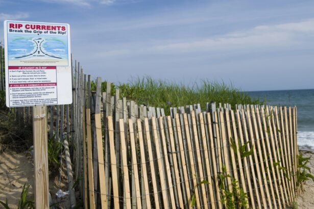 Florida man rigs drone to save drowning teen