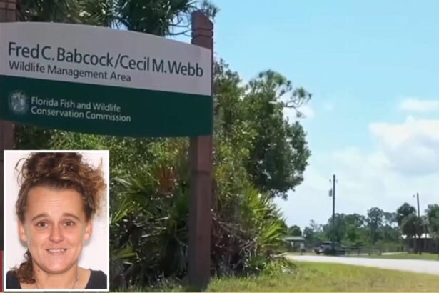 Florida mom accused of stabbing daughter, 12, in face, neck