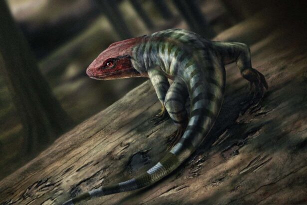 Fossil tracks rewrite history of animals leaving water to live on land