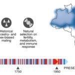 Genome mapping of Brazil’s diverse population uncovers new variants linked to health