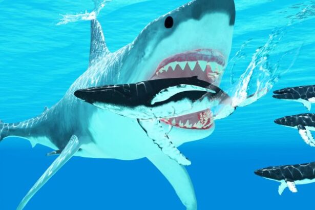 Giant Megalodon’s Prey Finally Revealed, And It’s Not What We Thought : ScienceAlert