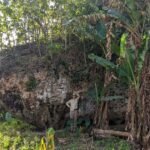 Giant boulder on clifftop in Tonga was carried by a 50-metre-high wave