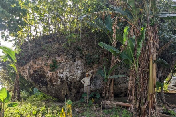 Giant boulder on clifftop in Tonga was carried by a 50-metre-high wave