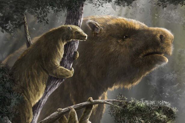Giant ground sloths evolved three different times for the same reason