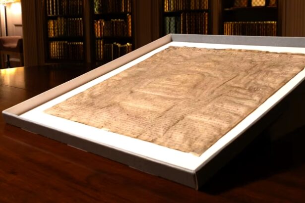 Harvard Paid  For a ‘Copy’ of The Magna Carta. It Turned Out to Be The Real Thing. : ScienceAlert
