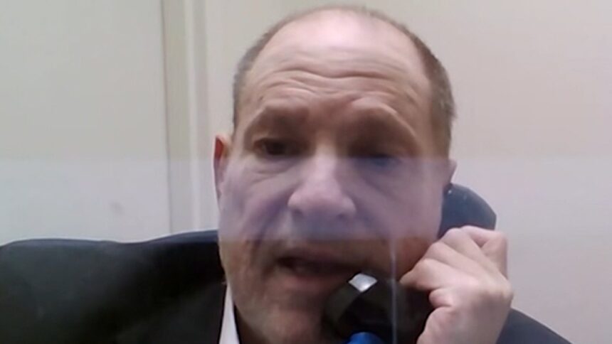 Harvey Weinstein Tells Candace Owens He’s Innocent, Blasts Gwyneth Paltrow