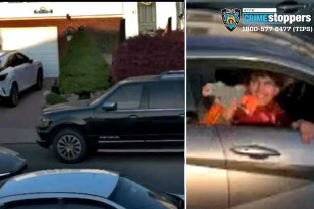 Heartless sicko fires pellet gun at woman holding 2-month-old baby girl on Staten Island: cops