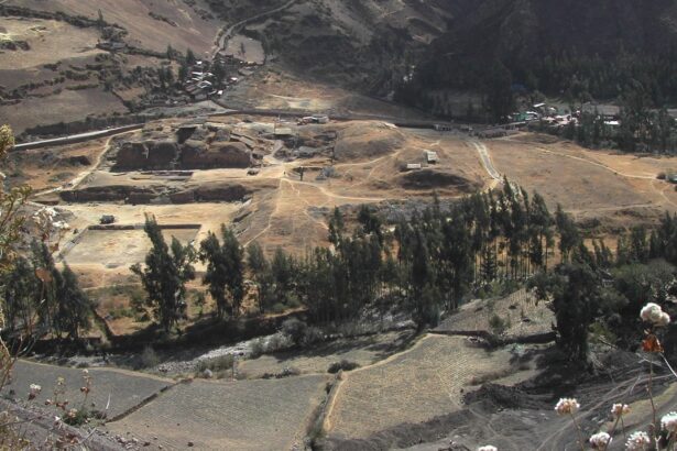 Heavy hallucinogenic rituals solidified social castes in Pre-Incan Peru