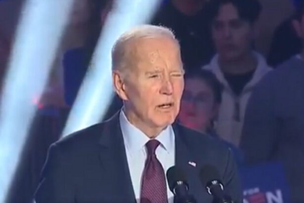 Here’s the Horrifying Way Biden’s Inner Circle Planned to Run the Country if He Somehow Got Reelected (VIDEO) |