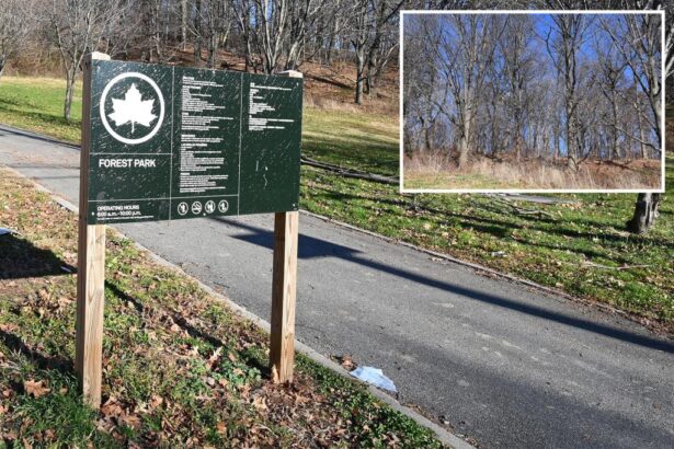 Hero dad rescues 11-year-old daughter from perv who dragged her into a remote area of NYC Park: cops