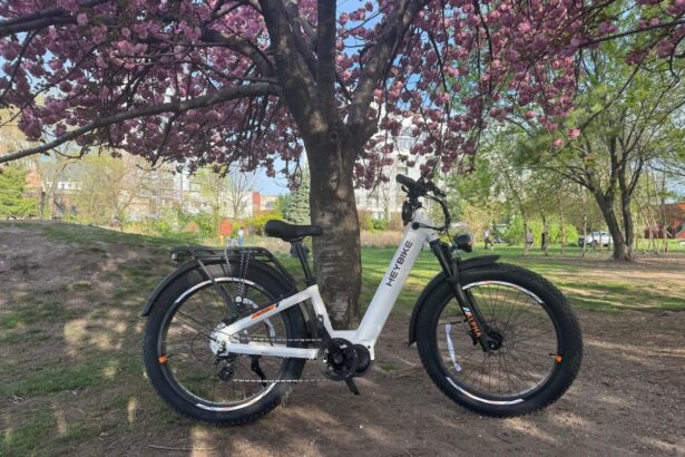 Heybike’s Alpha step-through e-bike is an affordable, all-terrain dreamboat