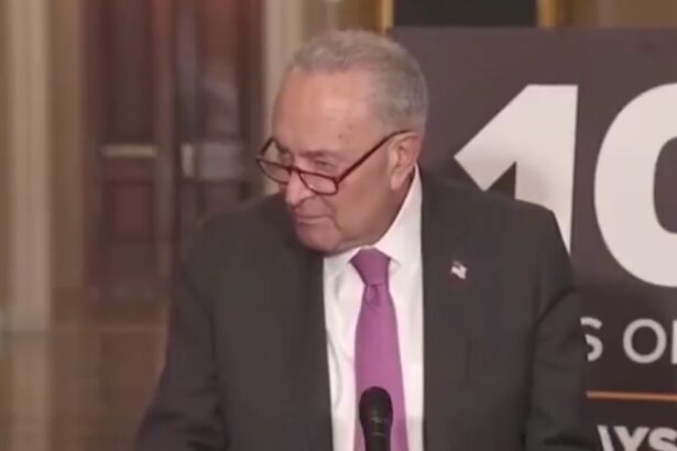 Hilarious! Reporter Ends Schumer’s Entire Career After He Attacks Trump on Bogus 100-Day Poll Numbers (VIDEO) |