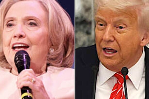 Hillary Clinton Bludgeons Trump With Pure Truth About Qatar Jet Gift